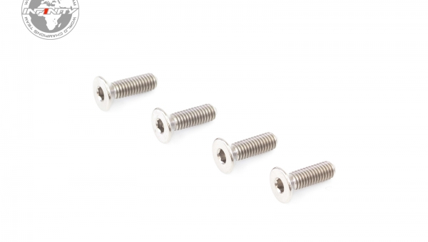 M3x10mm MC TITANIUM FLAT HEAD SCREW (4pcs)